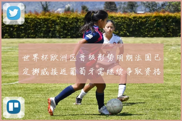 世界杯欧洲区晋级形势明朗法国已定挪威接近葡萄牙需继续争取资格