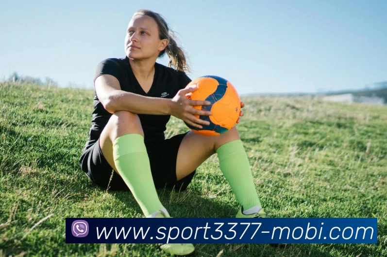 3377体育发展历程