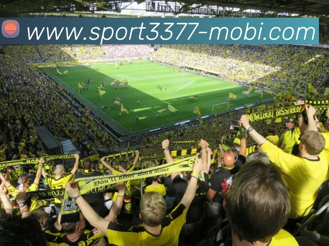 芬尼史密斯复出首战失利火箭连胜四场的辉煌被打破