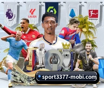 3377体育 APP | 3377Sports